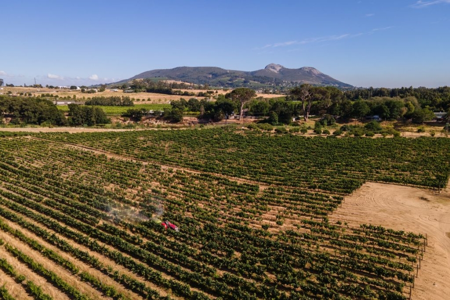 0 Bedroom Property for Sale in Val De Vie Estate Western Cape